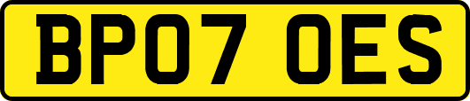 BP07OES