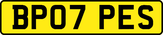 BP07PES