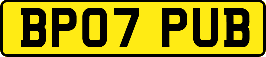 BP07PUB