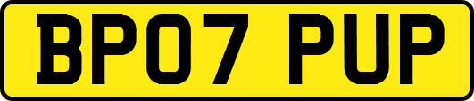 BP07PUP