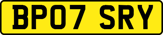 BP07SRY