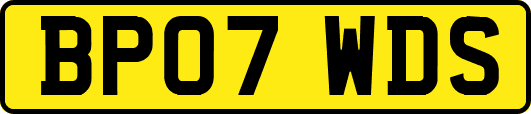 BP07WDS