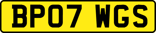 BP07WGS