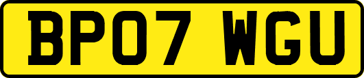 BP07WGU