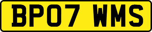 BP07WMS
