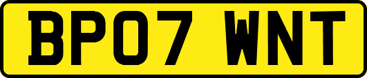BP07WNT