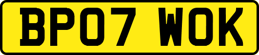 BP07WOK