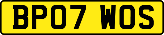 BP07WOS
