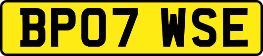 BP07WSE