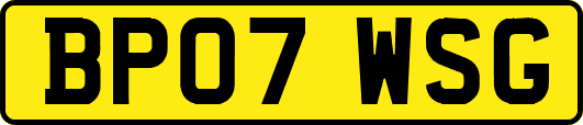 BP07WSG