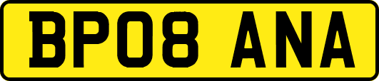 BP08ANA