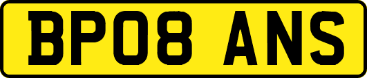 BP08ANS