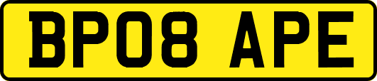 BP08APE