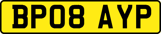 BP08AYP