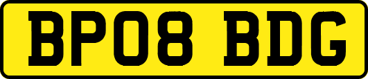 BP08BDG