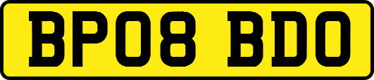 BP08BDO
