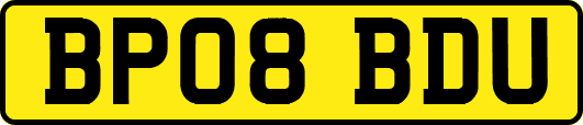 BP08BDU