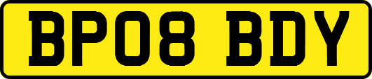 BP08BDY