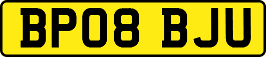 BP08BJU