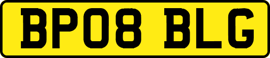 BP08BLG