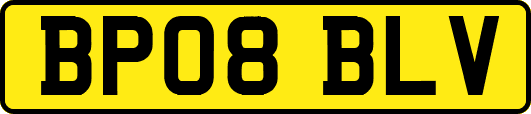 BP08BLV