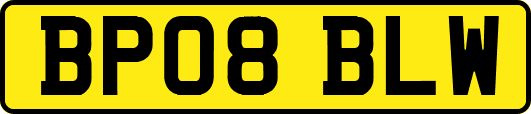 BP08BLW