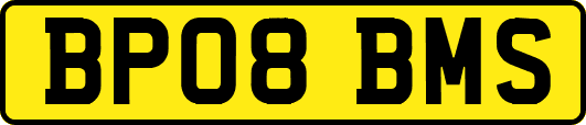 BP08BMS