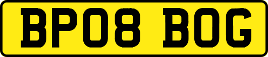 BP08BOG