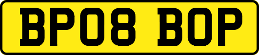 BP08BOP