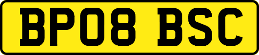 BP08BSC