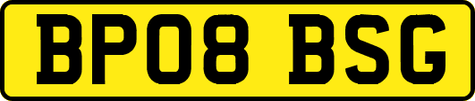 BP08BSG
