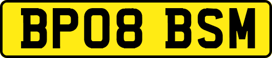 BP08BSM