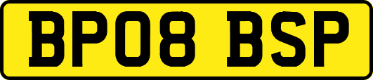 BP08BSP