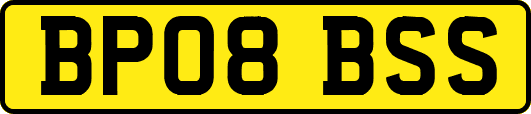 BP08BSS