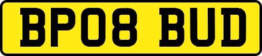 BP08BUD