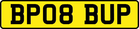 BP08BUP