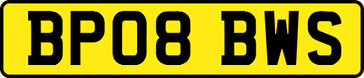 BP08BWS