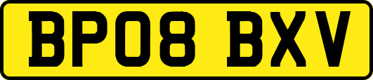 BP08BXV