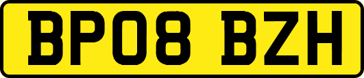 BP08BZH