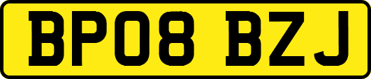 BP08BZJ