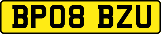 BP08BZU