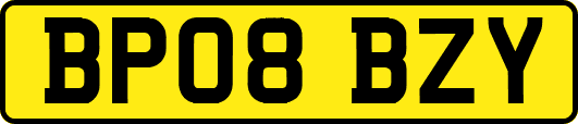 BP08BZY