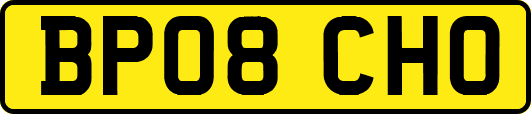 BP08CHO