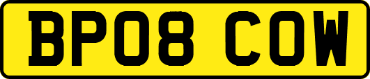 BP08COW