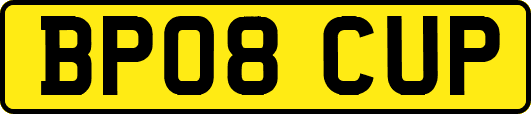 BP08CUP