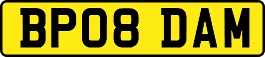 BP08DAM
