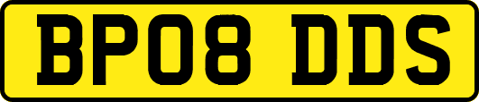 BP08DDS