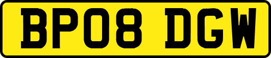 BP08DGW