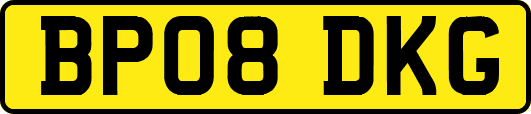BP08DKG