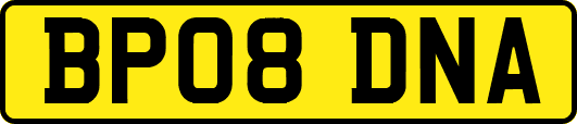 BP08DNA
